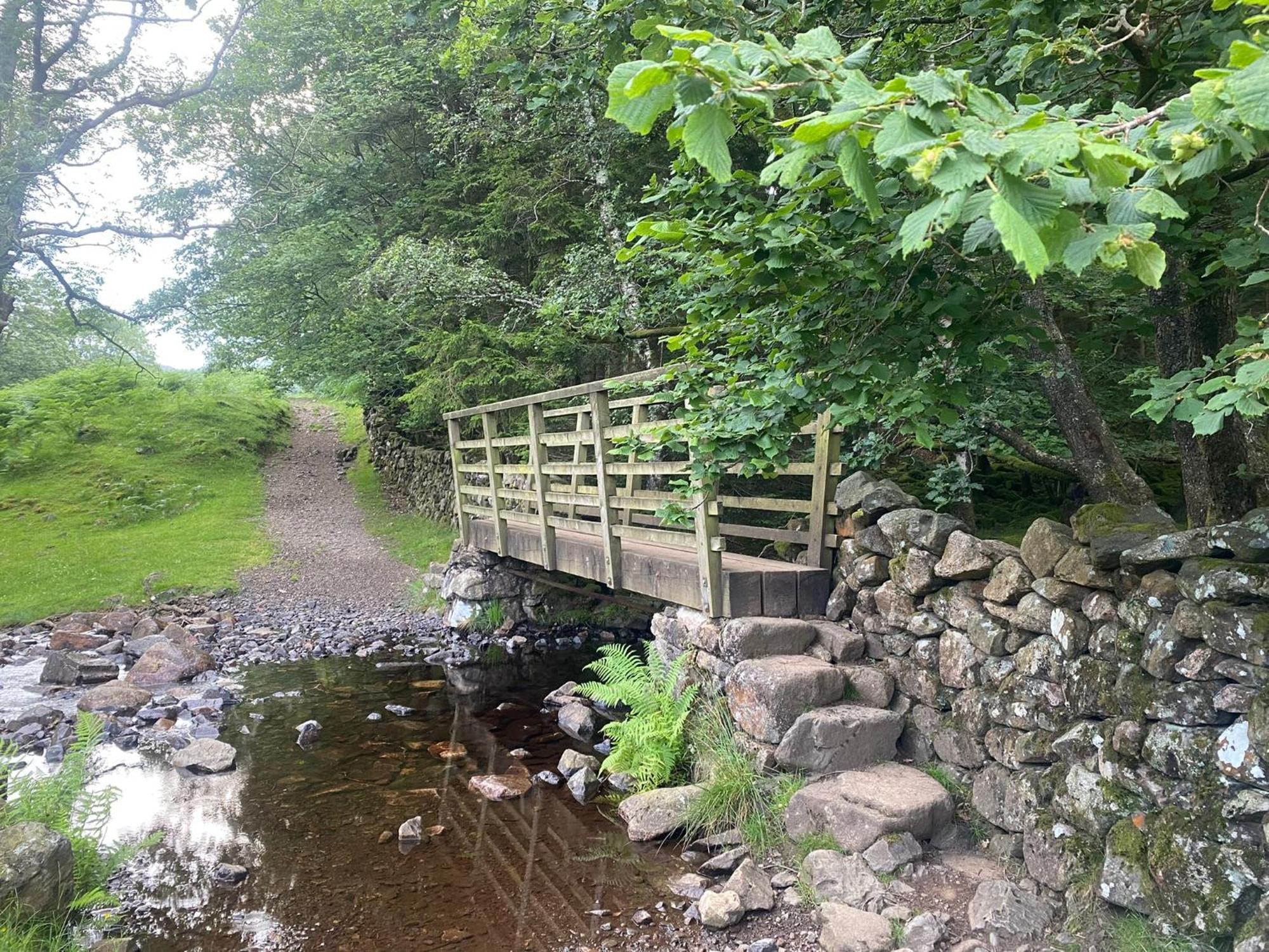 Cosy Glamping In The Eskdale Valley - Studio Lodges And Mega Pods Luaran gambar